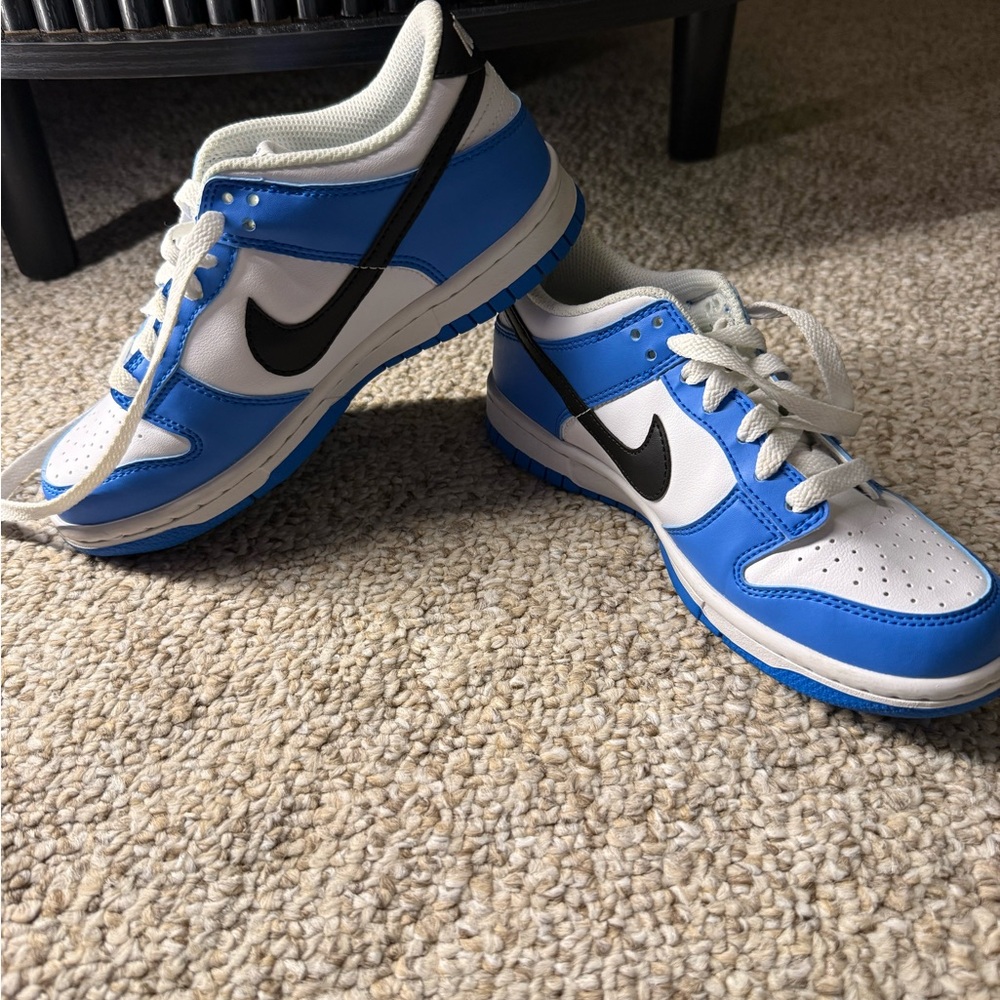 Nike Dunk Low GS (youth 4Y)